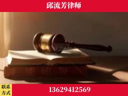 景洪-疑难刑事案件处理