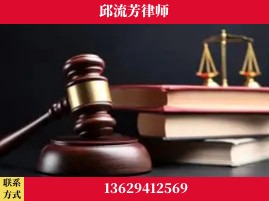 景洪-刑事案件