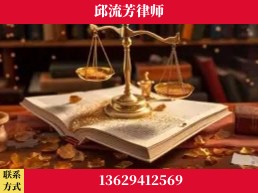 景洪-委托诉讼代理人出庭